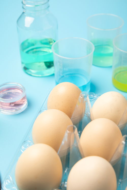无菌鸡蛋 农业科技与食品安全的完美融合