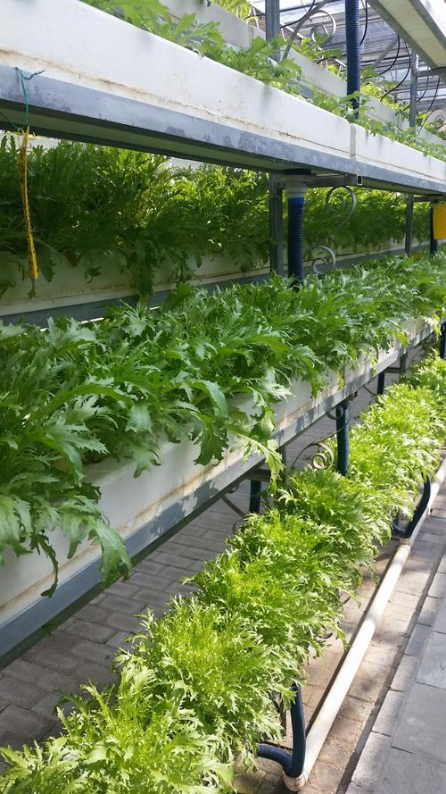 北京农业科技园培植基地 都市型现代农业的创新引擎